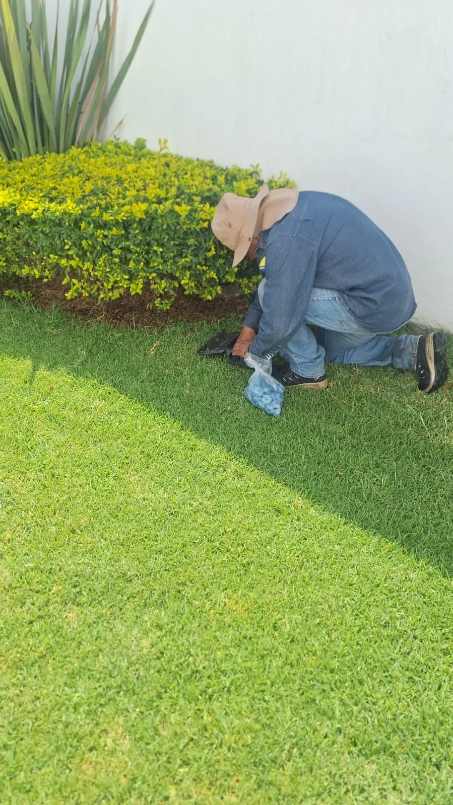 Técnico colocando tratamiento preventivo en jardín