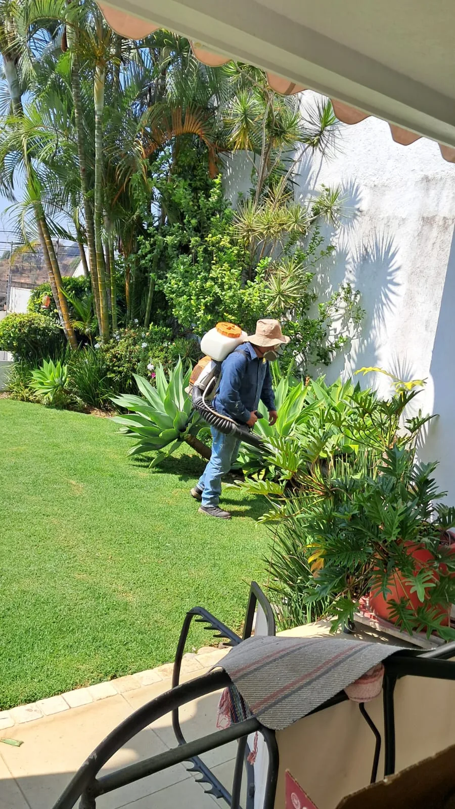 Fumigación profesional en área verde