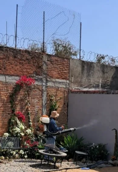 Tratamiento en jardín y perímetro