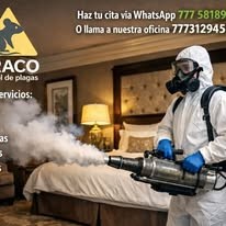 Aplicación en sala con listado de servicios
