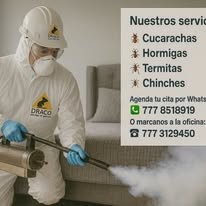 Diseño promocional de Draco Fumigaciones
