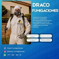 Servicios para chinches, cucarachas y roedores