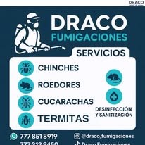 Promocional de fumigación contra termitas y cucarachas