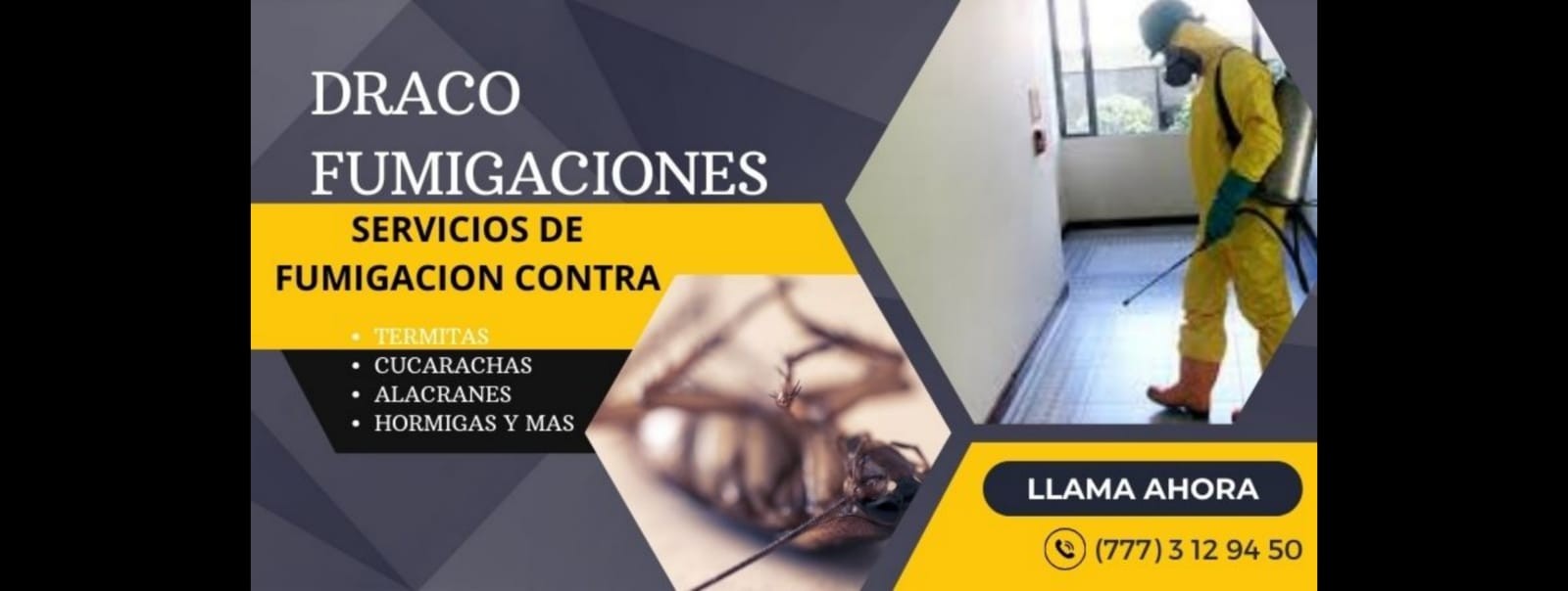Personal de Draco Fumigaciones realizando servicio profesional